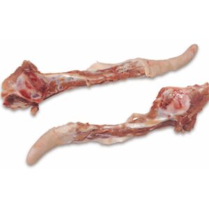 Tail bone with tail