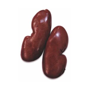 pork kidney for sale