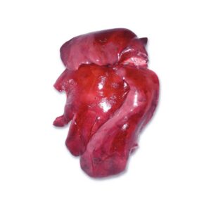pork liver for sale
