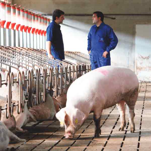 animal handling