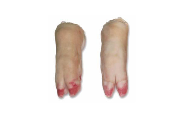 Wholesale Frozen Pork Front Feet  In Spain - Patel