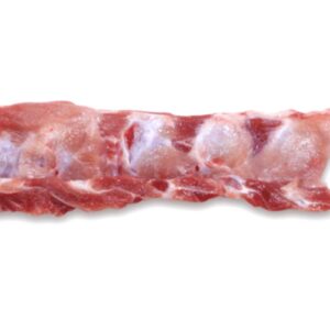 BACKBONE FOR SALE