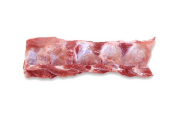 BACKBONE FOR SALE