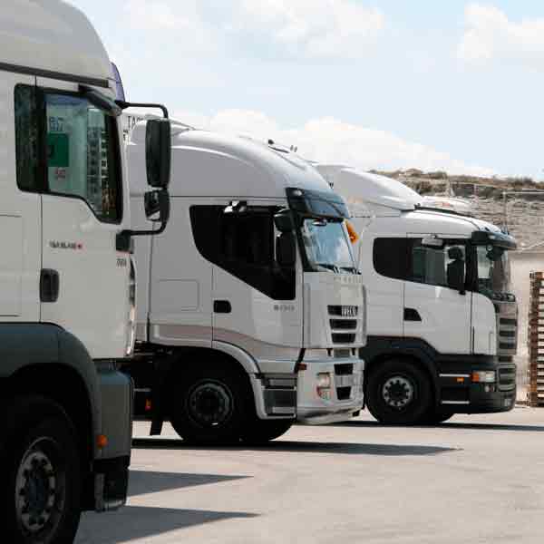 transportation of our pork meat